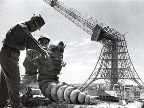 Закулисье фильма "Годзилла против Мотры" 1964 года (20 фото)