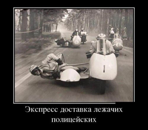 Прикольные демотиваторы в середине недели (13 шт)