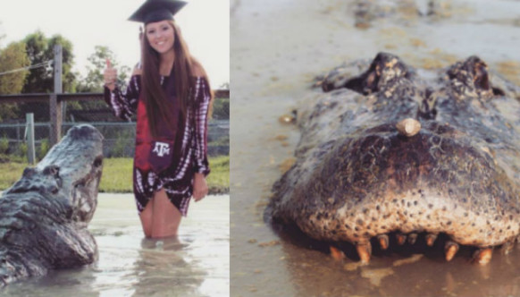 
Студентка сделала фото для&nbsp;выпускного с&nbsp;аллигатором&nbsp
